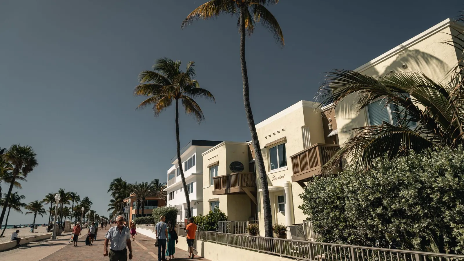 Hollywood Beach Broadwalk with palms along the Atlantic shoreline