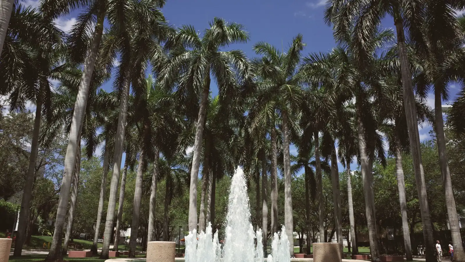 Royal palms surrounding a fountain plaza in Pembroke Pines